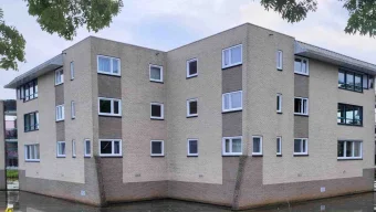 Groenling Rijssen buiten