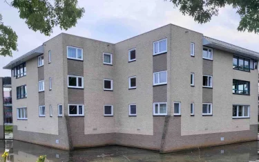 Groenling Rijssen buiten
